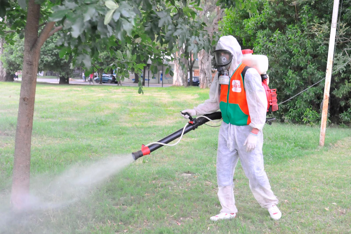 Mosquitos: refuerzan campaña de fumigación en espacios verdes