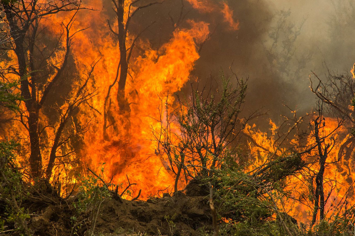 El incendio en Chubut afecta a 14.000 hectáreas