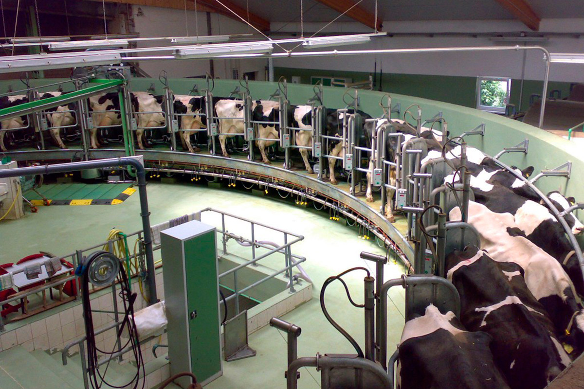 Región Centro: avance en políticas para el sector lácteo