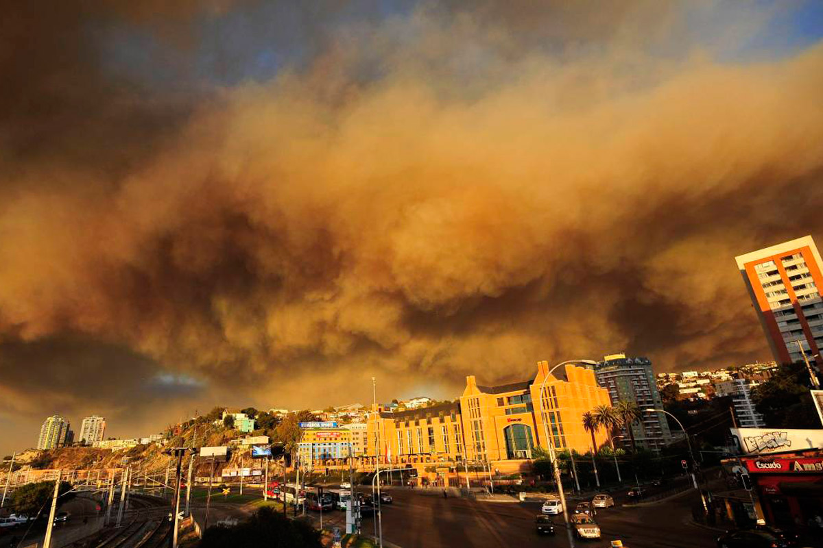 Detienen avance de incendio forestal en puerto Valparaíso