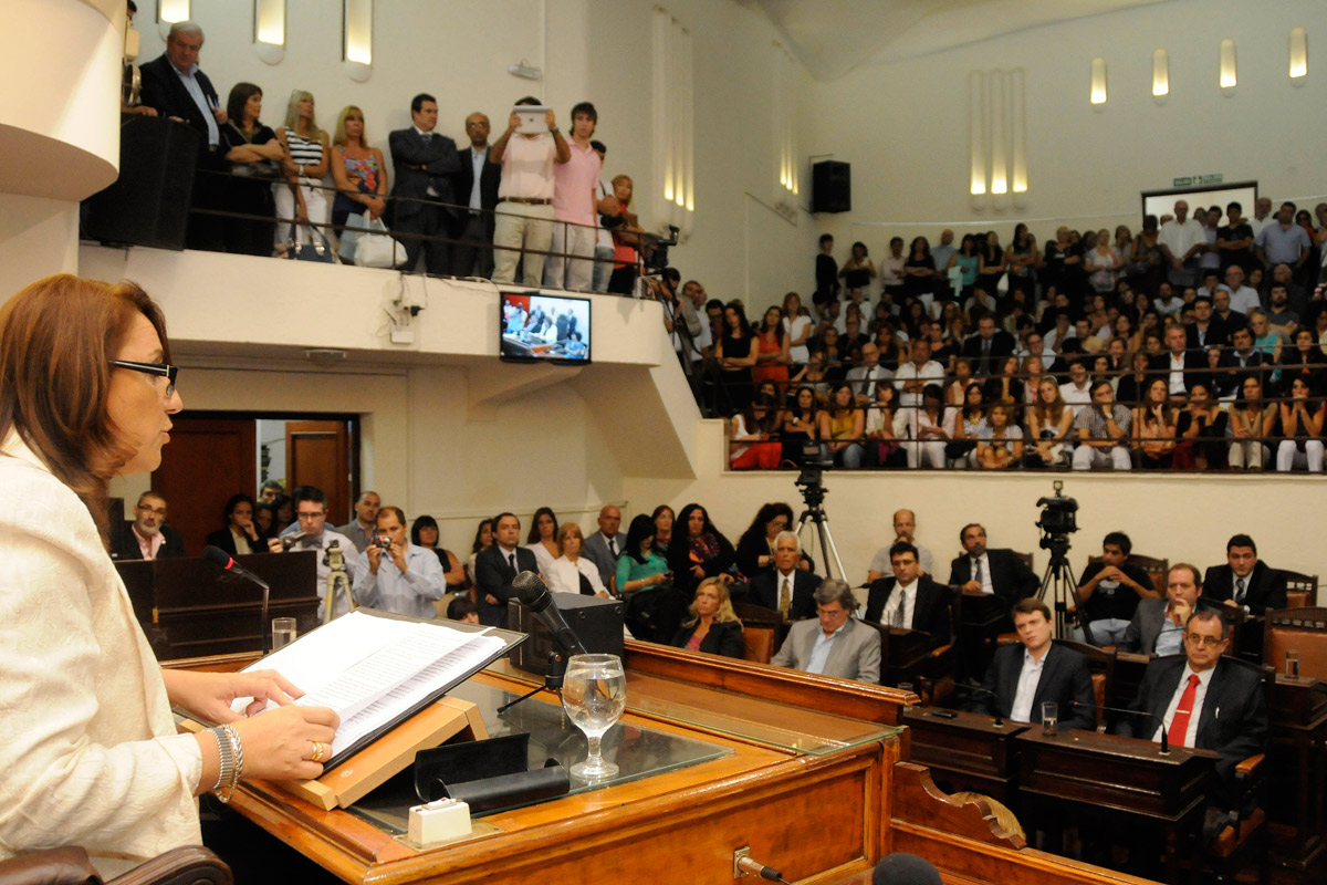 Mónica Fein inaugura las sesiones 2015 del Concejo