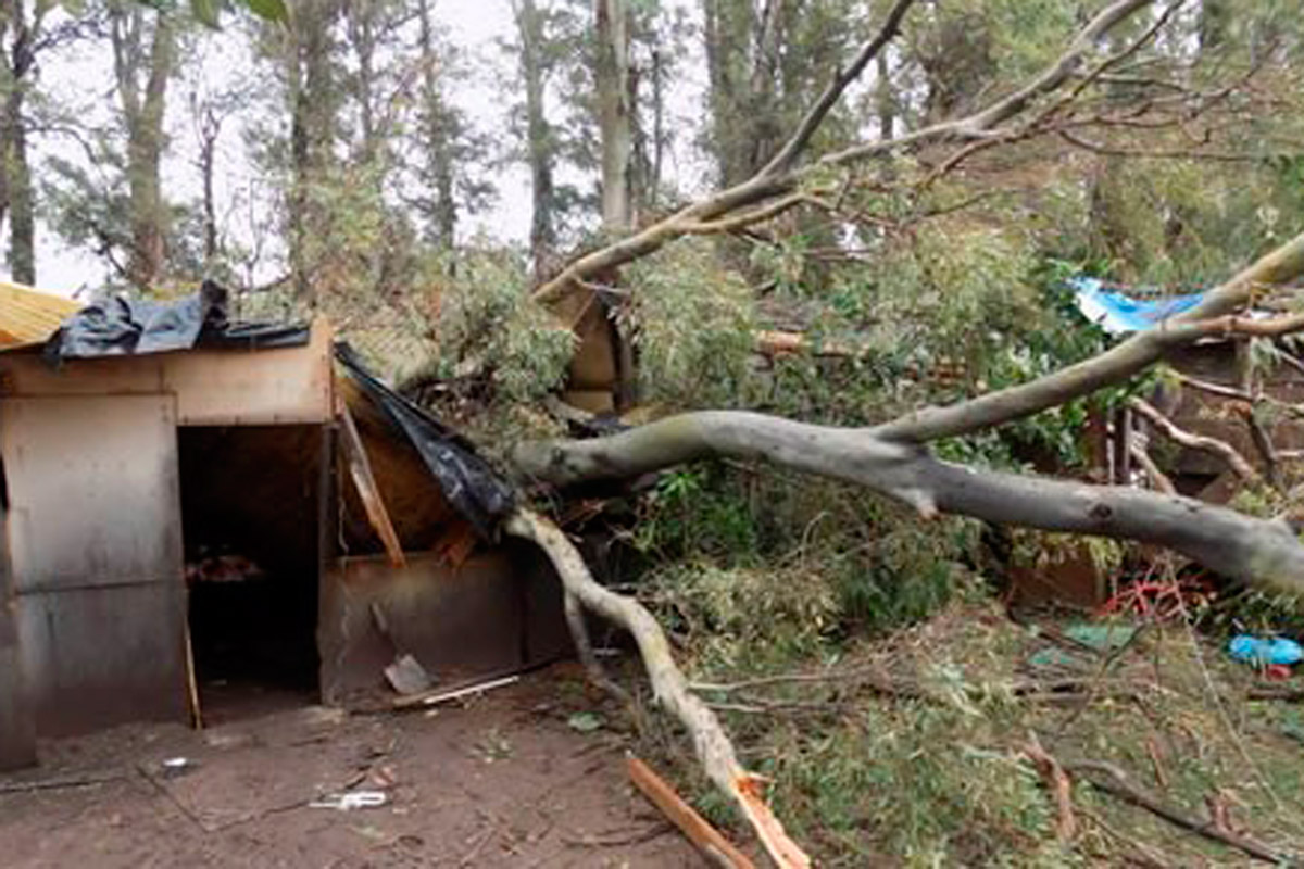 V.G.Gálvez: vecinos reclaman viviendas tras el temporal