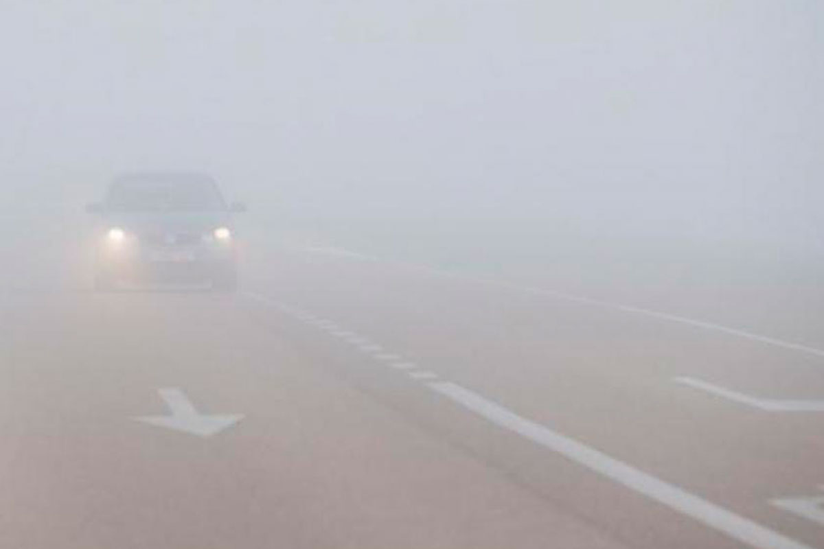 Alerta en las rutas por niebla y neblinas
