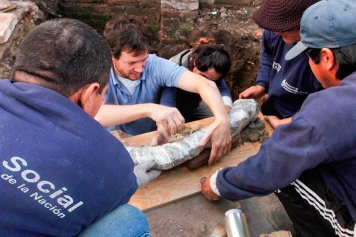 Hallan fósiles de una ballena de 6 mil años en Berazategui