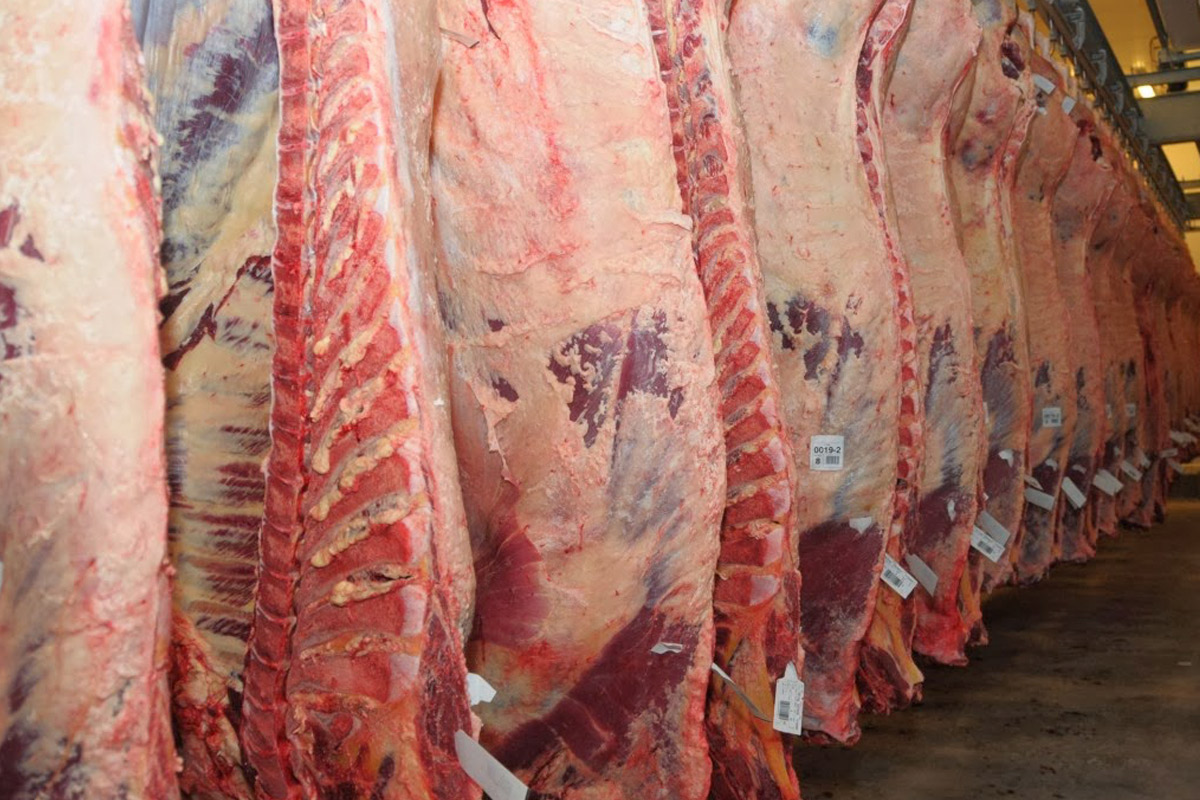 Conflicto en Senasa complica la industria de la carne