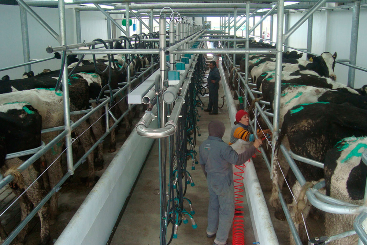 Macri anunciará medidas de apoyo al sector lechero