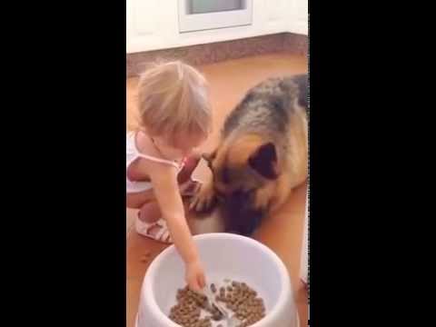 Ternura de video: una niña le da de comer a su perro con una cuchara