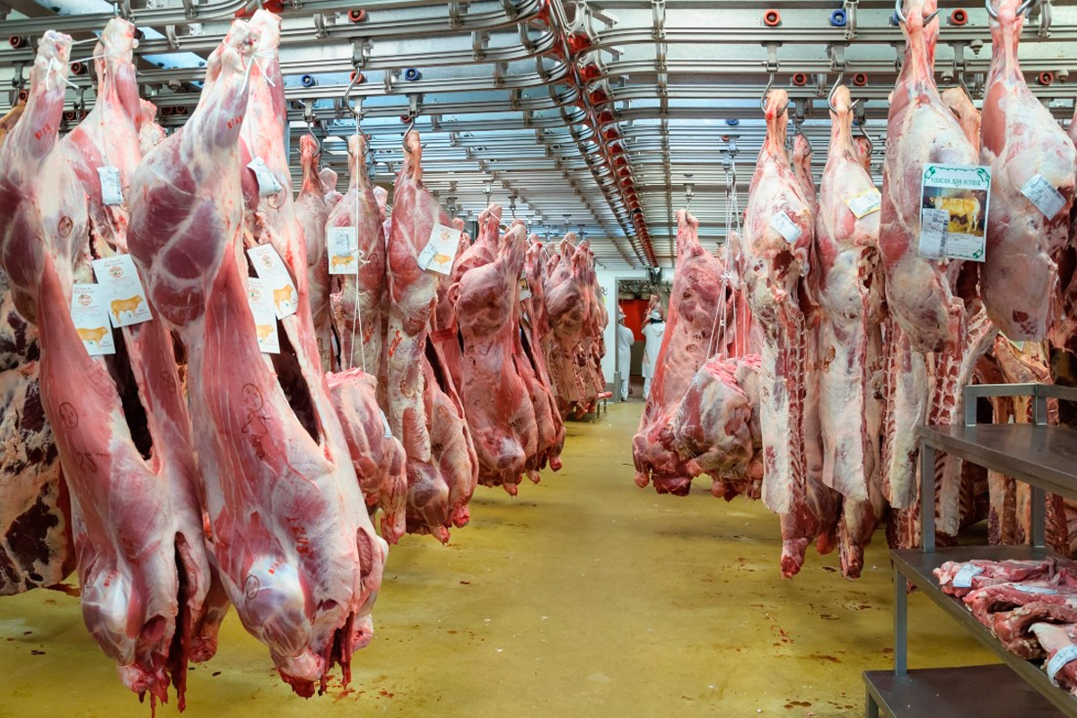 Argentina volverá a vender carne vacuna a Canadá