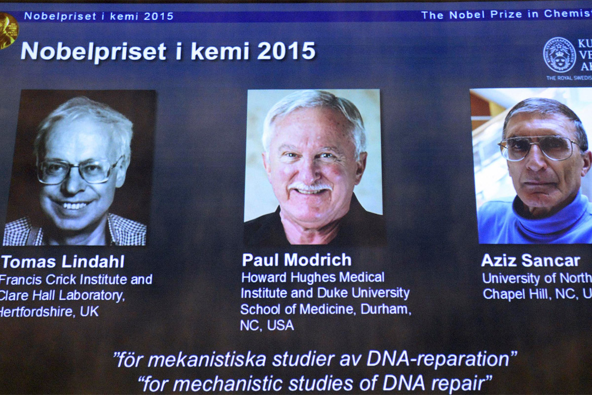 El ADN, clave en la elección del Premio Nobel de Química