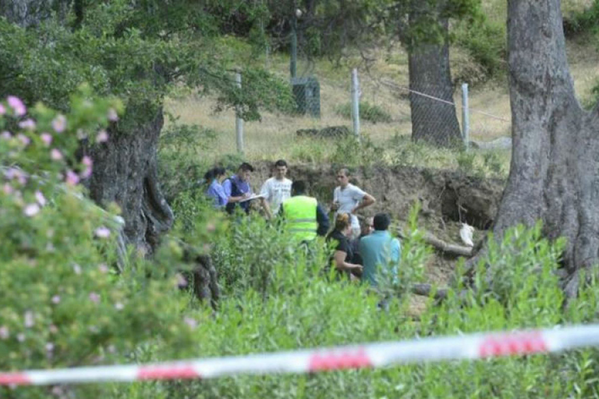 Tragedia en el sur: cayó un árbol y murieron dos chicos