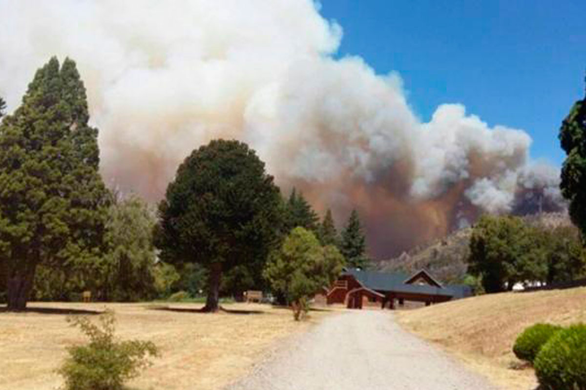 Se incendiaron 100 hectáreas en el parque Los Alerces