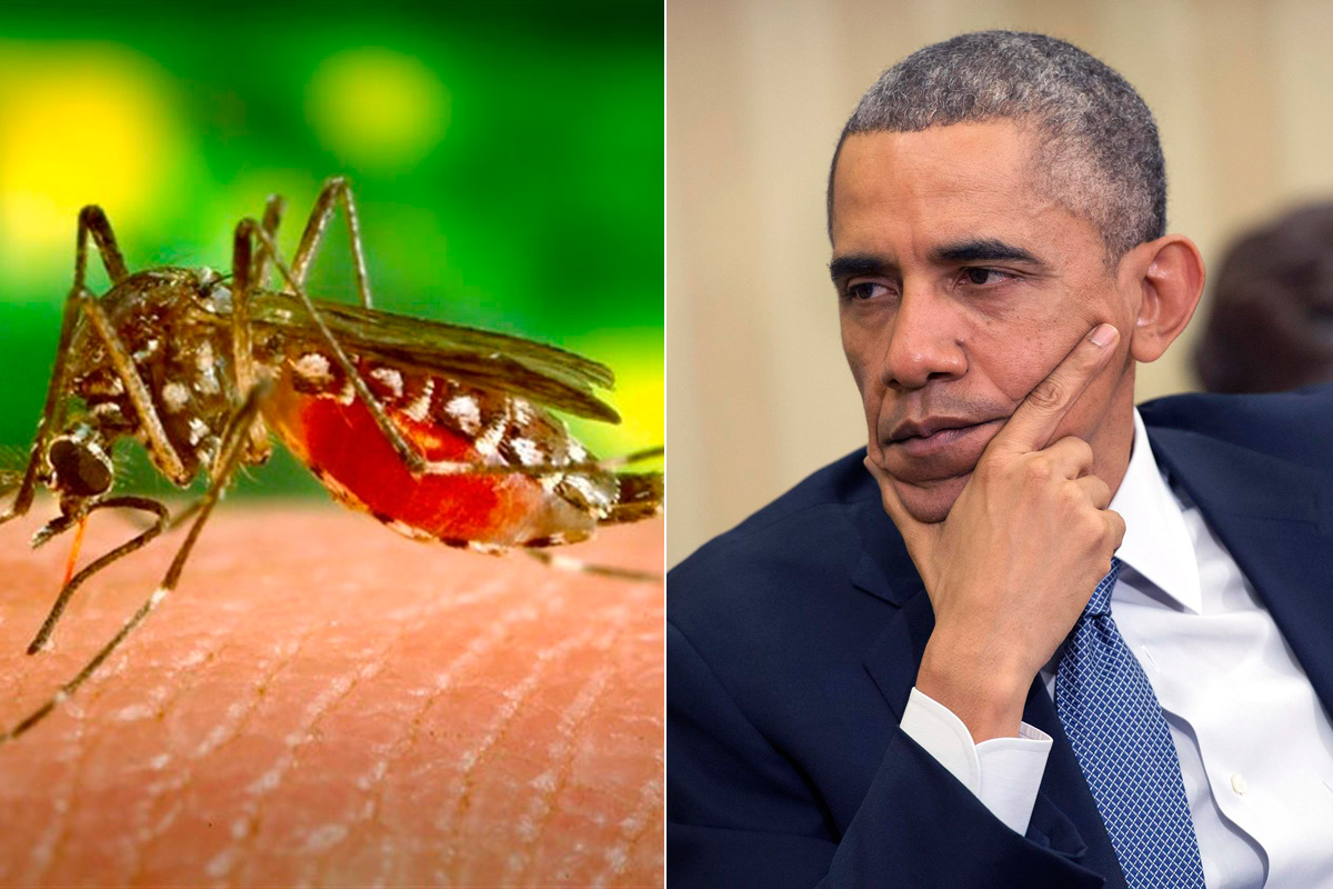 Barack Obama pide actuar contra el virus zika