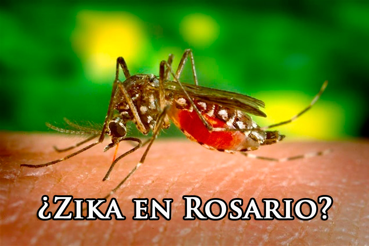 Hay alerta en Rosario por un posible caso del virus zika