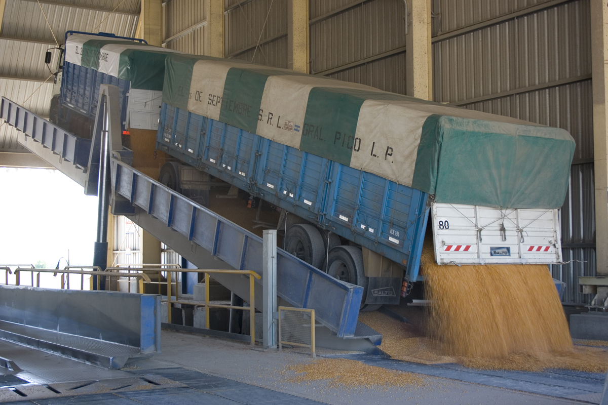 Cerealeras exportadoras frenan liquidación de divisas