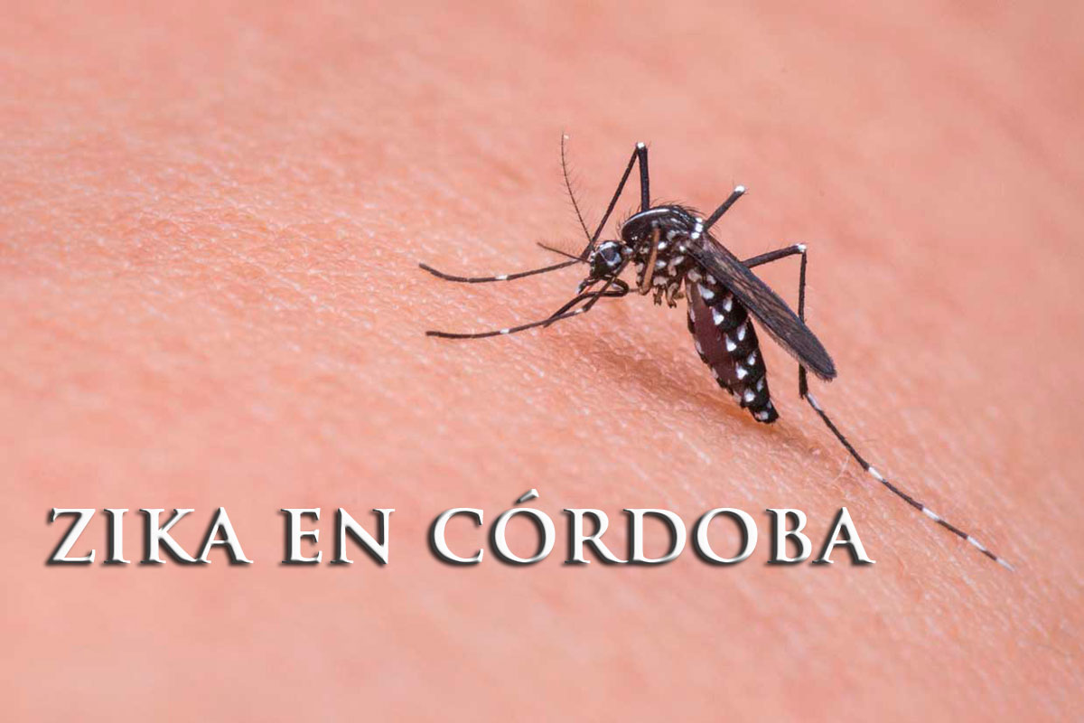 Detectan en Córdoba primer caso con virus del zika
