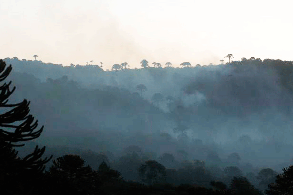 Incendio en Neuquén consumió 10 hectáreas
