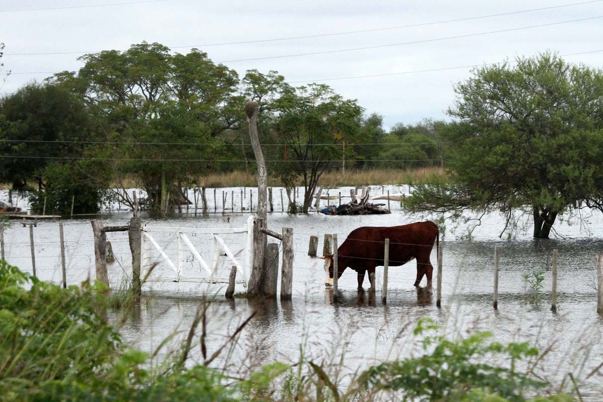 El Paraná está estacionario y siguen las lluvias en Santa Fe