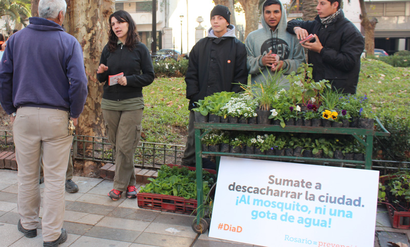 Gran despliegue en todos los distritos en el primer «Día D» contra el dengue