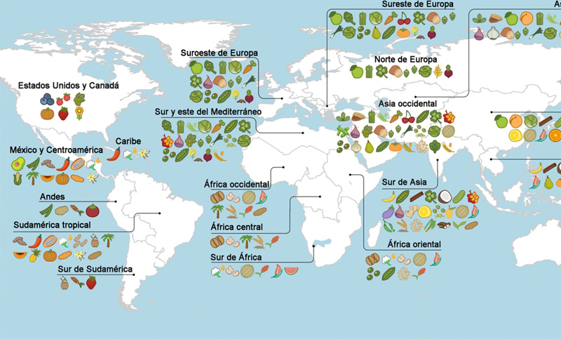 ¿De qué lugares del mundo  provienen las frutas y verduras?