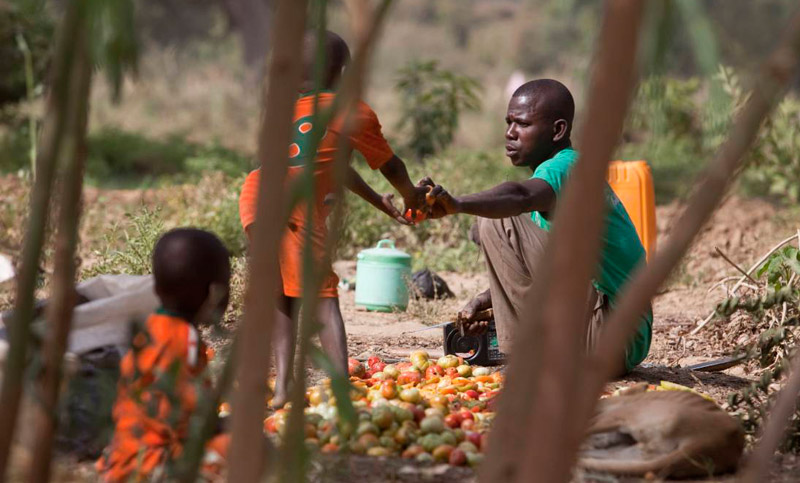 Los conflictos armados dejan sin acceso a comida a 56 millones de personas
