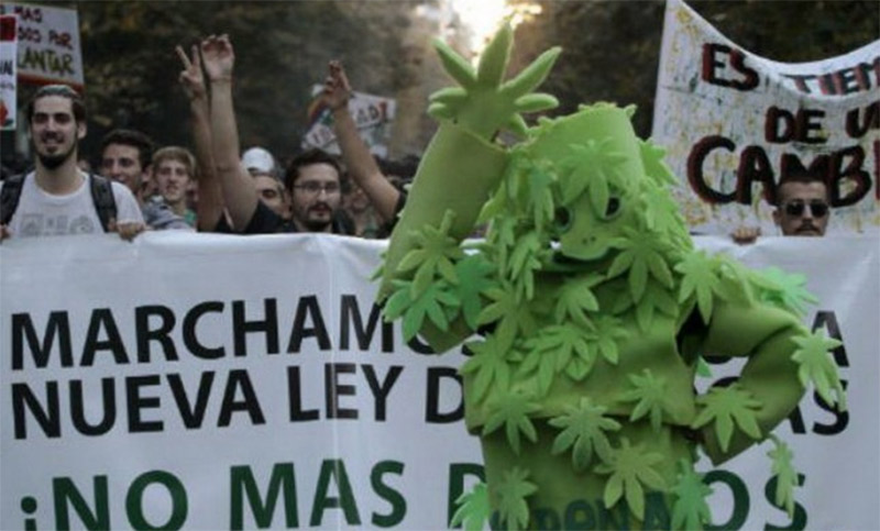 Especialistas debatirán en Rosario sobre el uso medicinal de la marihuana