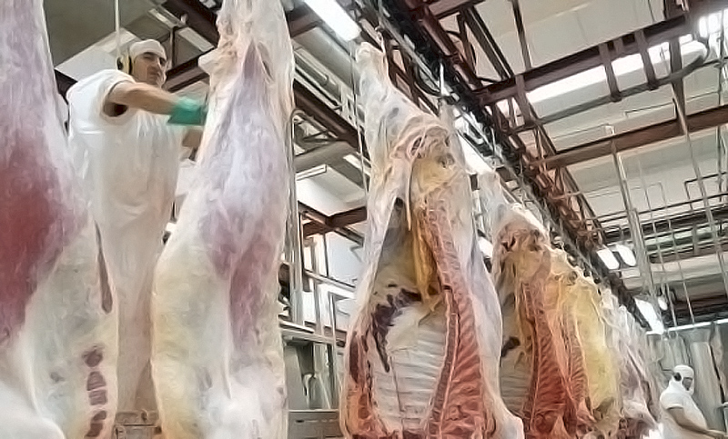 Trabajadores de la industria de la carne harán un paro de 24 horas