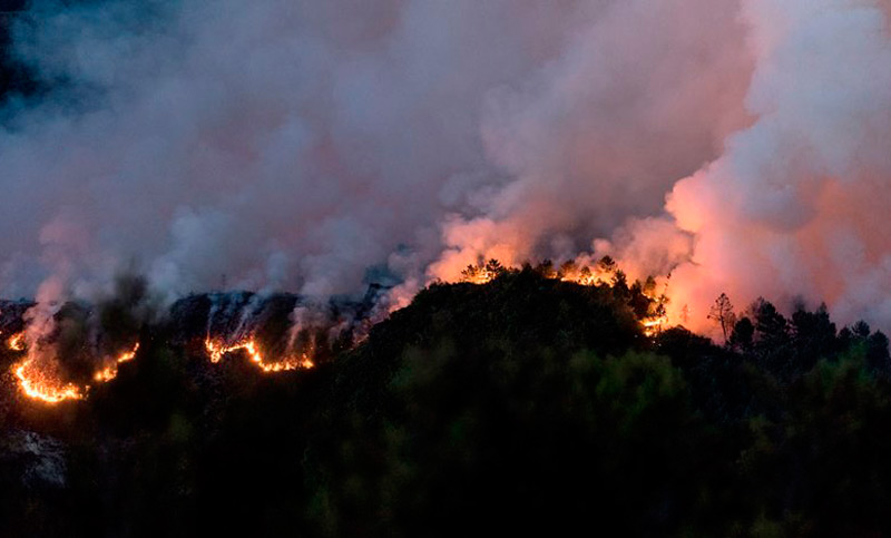 Cuatro incendios siguen avanzando en el norte de España