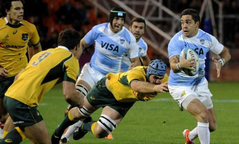 Rugby Championship: Los Pumas buscan recuperarse ante Australia