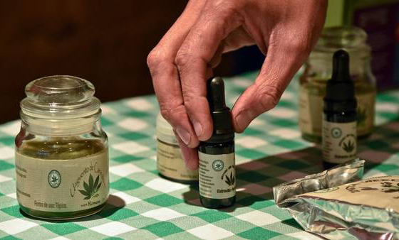 Diputados avanza en la aprobación del uso de aceite de cannabis con fines medicinales