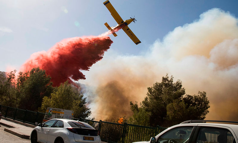 Bomberos israelíes lograron extinguir los incendios forestales