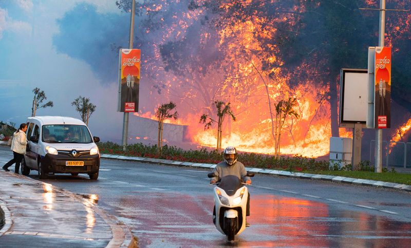 Incendios en Israel: arde un país por efecto de los que odian y matan