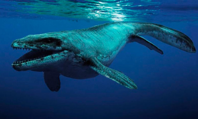 Paleontólogos chilenos descubren restos del mayor depredador marino de la Antártida