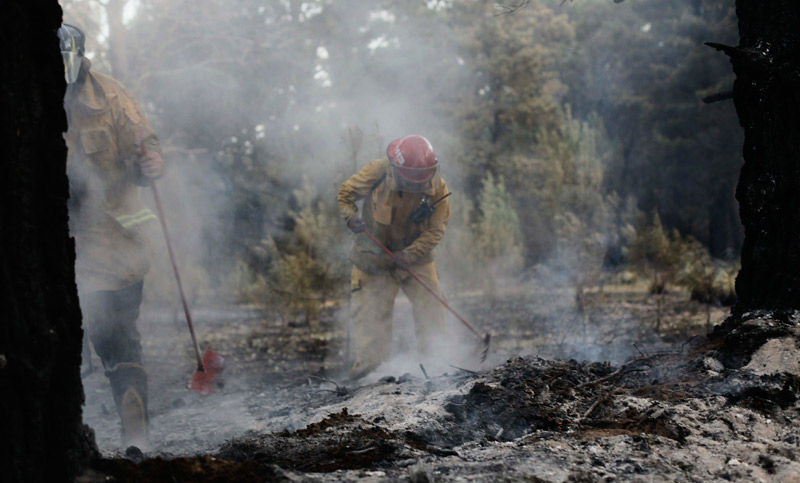 Fue «controlado» el incendio que quemó más de 50 hectáreas de bosques