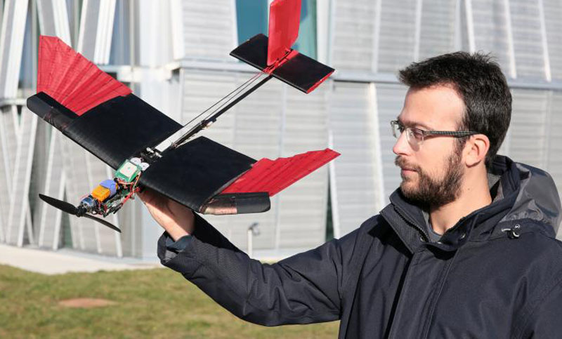 Crean un dron que imita el vuelo de un pájaro