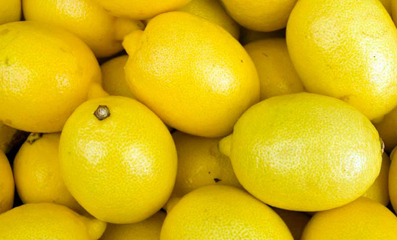 En 2017, limones argentinos accederán al mercado de EE.UU