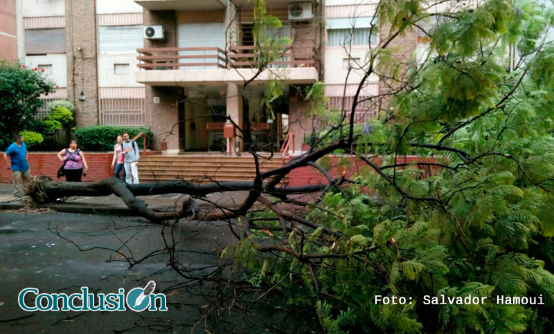 Temporal en Rosario y la región: rutas cortadas, anegamientos y árboles caídos