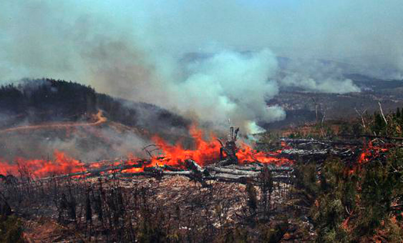 Chile mantiene un férreo combate a los incendios forestales