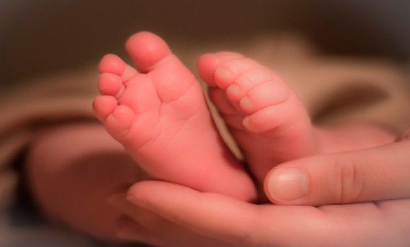 Anunciaron nacimiento de un bebé con material genético de tres personas
