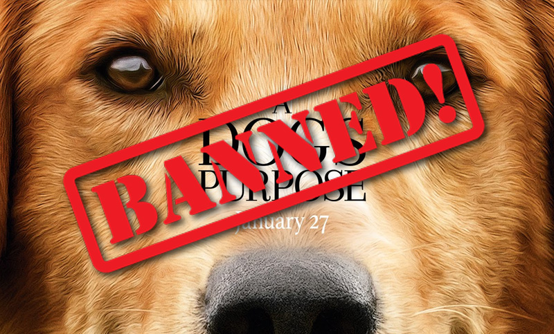 Piden boicotear la película “A Dog’s Purpose” por maltrato animal