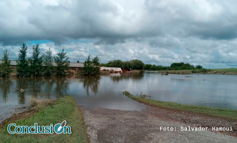 Emergencia agropecuaria para Santa Fe tras inundaciones