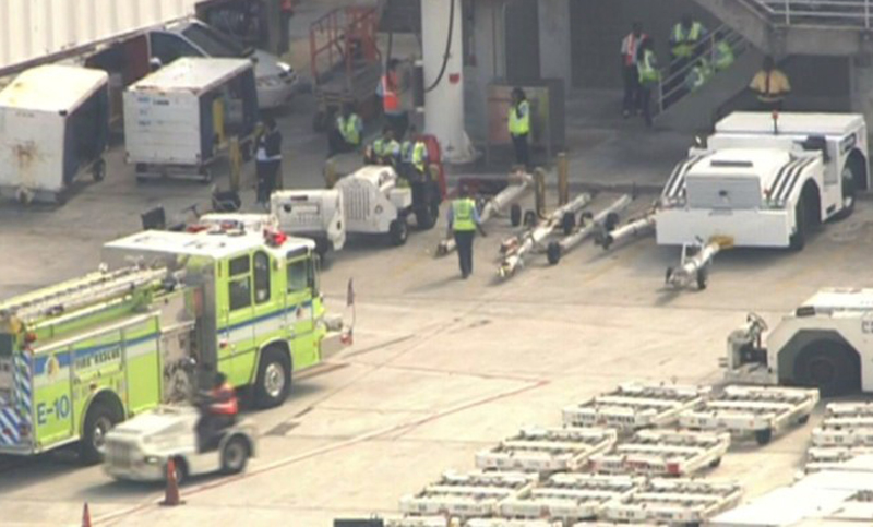 Al menos 5 muertos y varios heridos en tiroteo en un aeropuerto de Florida