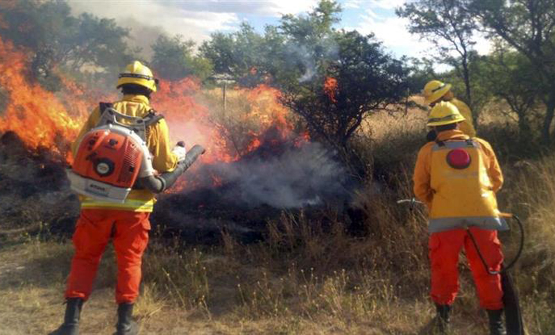 La Pampa: por los incendios se destruyeron más de un millón de hectáreas