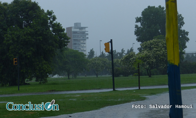 Alerta para el sur de Santa Fe, cielo cubierto y mucha humedad en Rosario  