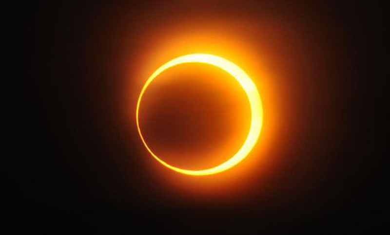 Eclipse solar: ¿cómo reaccionan los animales ante el fenómeno?