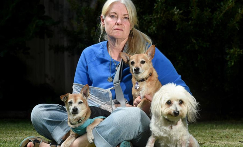 Una mujer mordió a un can que atacaba a sus perros