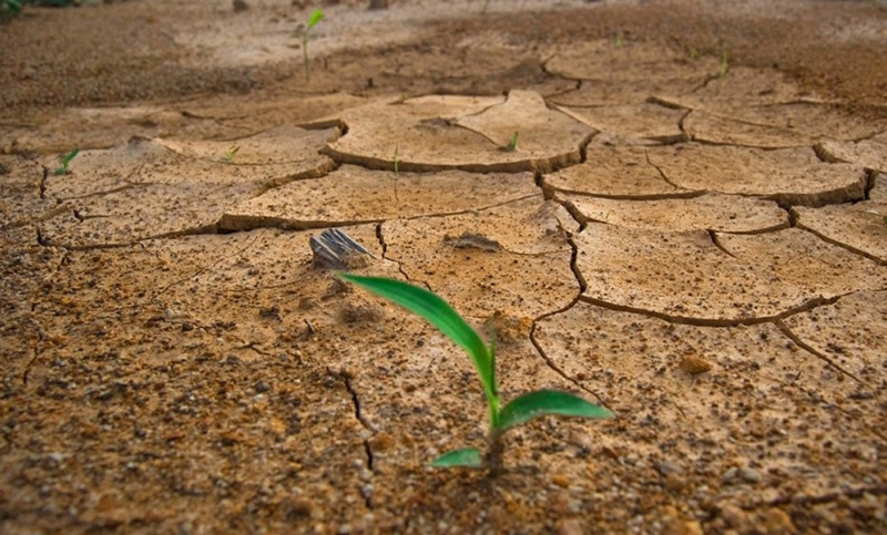 Resiliencia: ¿un estado o una forma de ser?