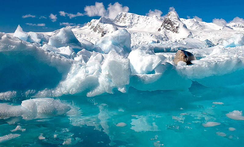 La ONU registra un récord de calor en la región antártica establecido hace 35 años