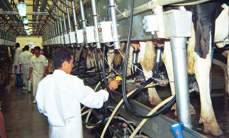 La Federación Agraria reclama asistencia del Estado para productores lecheros