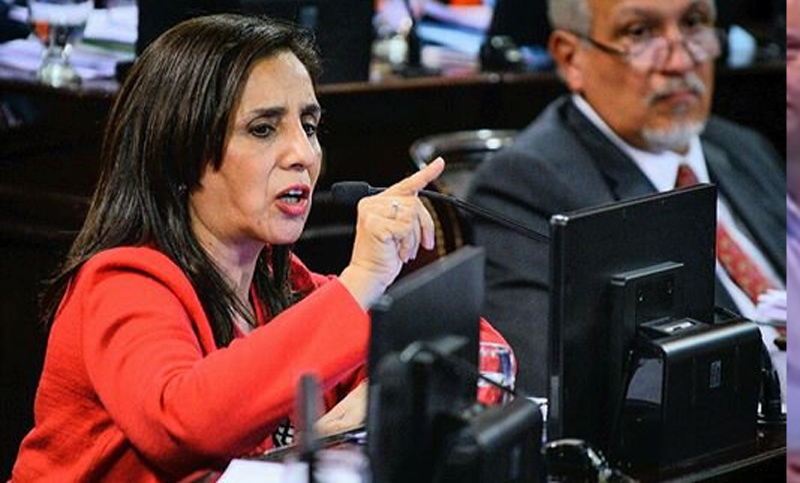 El Senado designó a tres miembros de la AGN y la nueva cara es Graciela de La Rosa
