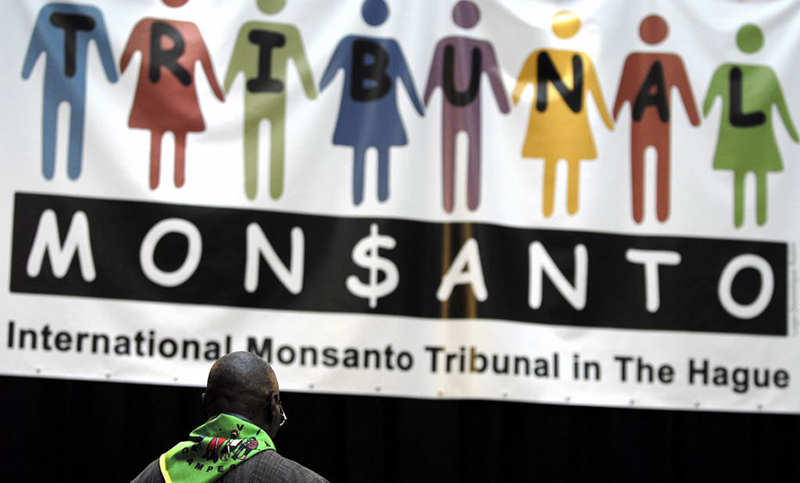 Tribunal concluyó que la firma Monsanto es responsable por «ecocidio»